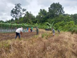 Bantu warga berkebun Satgas Pamtas RI-Malaysia Yonif 144/JY desa sebindang