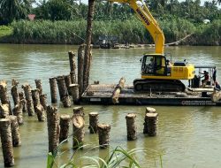Pemkab Aceh Tamiang Pasang 17 Krib Batang Sawit Untuk Mitigasi Risiko Banjir