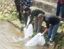Tebarkan 10.000 Benih Ikan Nila Di Batang Gunung, Wabup Risnawanto Minta Masyarakat Jaga Ekosistem Sungai
