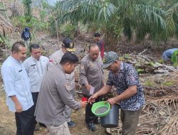 Balitbang Sumbar Lakukan Peninjauan Lokasi Pemanfataan Limbah Batang Sawit Menjadi Gula Merah Di Pasaman Barat