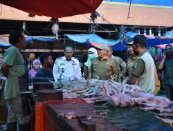 Asra Minta Pemerintah Aceh Bangun Pabrik Pekan Ayam Mini di Aceh Tamiang