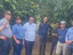 PT. Mars Symbioscience Indonesia Akan Bekerjasama Dengan Aceh Tamiang Dalam Bidang Kakao Komoditi