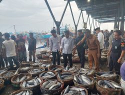 Pemprov Aceh Berhasil Stabilkan Harga Ikan di Aceh