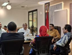 Temui Menteri Ekonomi Kreatif, Armia Pahmi Paparkan Potensi Ekonomi di Aceh Tamiang