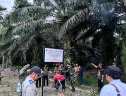 Satgas PKH Bersama Kejati Sumbar Tertibkan Ribuan Hektar Kawasan Hutan Lindung di Pasaman