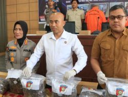 Ditreskrimsus Polda Sumbar Gagalkan Perdagangan Ilegal Sisik Trenggiling 24 Kg, Ungkap Jaringan hingga Jambi