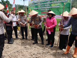 AKBP Simon Yana Putra Galakkan Penanaman Jagung Serentak: Polres Sawahlunto Dorong Ketahanan Pangan Menuju Swasembada 2025