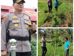 Langkah Nyata AKBP M. Agus Hidayat: Dorong Warga Manfaatkan Lahan Kosong Jadi Sumber Pangan