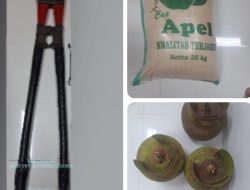 Polresta Banyumas Ungkap Kasus Pencurian Toko Di Somagede, Empat Tersangka Diamankan