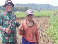 Senyum Sumringah Waryanto, Petani Cikuya Sambut Ceria Program TMMD Brebes