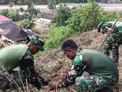 Aksi Nyata Babinsa Sertu Marjohan, TNI Tanam Durian dan Jengkol untuk Lindungi Warga di Rimbo Kaluang Koramil 01/PBU