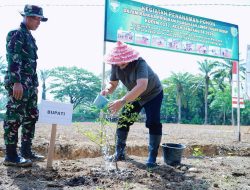 Kodim 0117 Aceh Tamiang Kolaborasi Optimalkan Lahan Tidur untuk Ketahanan Pangan