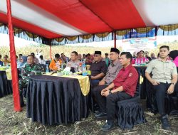 Sukseskan Swasembada Pangan, Ketua DPRD Pasbar Hadiri Panen Raya Jagung Bersama Presiden