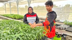 Kisah Abdul Rozzaq, Kepala Keluarga Penyintas Banjir Sumatera