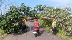 Gerak Cepat, Personel Polsek Donorojo Bersama Warga Evakuasi Pohon Tumbang di Jalur Benteng Portugis