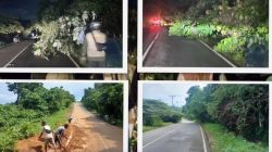 Respons Cepat Armizoprades ST., MT Hadapi Gangguan Jalan, BMCKTR Sumbar Pulihkan Ruas Teluk Bayur–Nipah–Purus