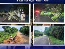 Respons Cepat Armizoprades ST., MT Hadapi Gangguan Jalan, BMCKTR Sumbar Pulihkan Ruas Teluk Bayur–Nipah–Purus