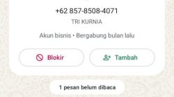 Beredar Nomor WA Palsu Atasnama Pejabat Pemkab Aceh Tamiang