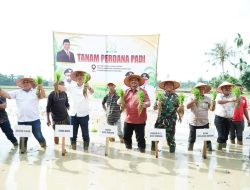 Tanam Padi Perdana di Aceh Tamiang, Awali Kebangkitan Ketahanan Pangan Pascabencana