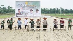 Kementan dan Pemkab Aceh Tamiang Kolaborasi Pulihkan Ribuan Hektare Sawah Pascabencana