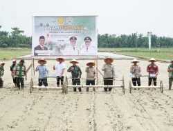 Kementan dan Pemkab Aceh Tamiang Kolaborasi Pulihkan Ribuan Hektare Sawah Pascabencana
