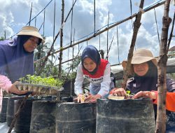 Kisah Chaidir Saleh, Beri “Sentuhan” Manisnya Melon Premium untuk Petani Milenial