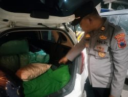 Komitmen Berantas Miras, Polsek Karangawen Amankan 130 Botol Arak dalam Operasi Pekat