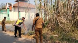 Angin Kencang Picu Api Cepat Membesar, Kebakaran Lahan Tebu di Lebo Batang Berhasil Dipadamkan