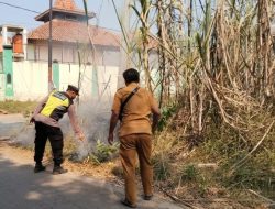 Angin Kencang Picu Api Cepat Membesar, Kebakaran Lahan Tebu di Lebo Batang Berhasil Dipadamkan