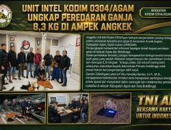 Dari Informasi Lapangan, Unit Intel Kodim 0304/Agam Ungkap Peredaran Ganja 8,3 Kg