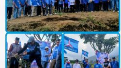 HUT ke-25 Partai Demokrat, DPC Demokrat Tanah Datar Tanam 1.000 Pohon di Puncak Batudindiang