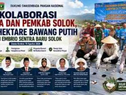 Kolaborasi Polda dan Pemkab, Dua Hektare Bawang Putih Jadi Embrio Sentra Baru Solok