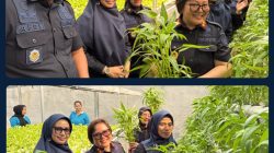 Dari Lapas untuk Kemandirian, Kalapas Susi Andriany Pohan Dorong Warga Binaan Kuasai Keterampilan Hidroponik