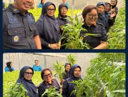 Dari Lapas untuk Kemandirian, Kalapas Susi Andriany Pohan Dorong Warga Binaan Kuasai Keterampilan Hidroponik