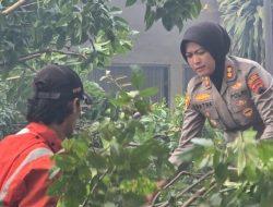 Sinergi Polres Kendal dan BPBD, Gerak Cepat Evakuasi Pohon Tumbang yang Menimpa Truk di Jalan Soekarno Hatta