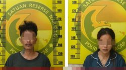 Satresnarkoba Polresta Cilacap Ungkap Peredaran Sinte, Dua Orang Diamankan