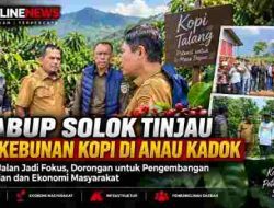 Wabup Solok Tinjau Potensi Kopi dan Bawang Merah, Akses Anau Kadok Jadi Perhatian