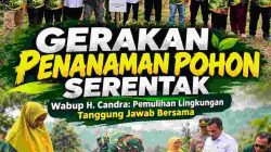 Wakil Bupati Solok Dorong Penanaman Pohon Berkelanjutan, Pemulihan Lingkungan Jadi Tanggung Jawab Bersama