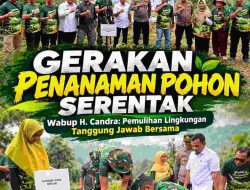 Wakil Bupati Solok Dorong Penanaman Pohon Berkelanjutan, Pemulihan Lingkungan Jadi Tanggung Jawab Bersama