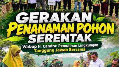 Wakil Bupati Solok Dorong Penanaman Pohon Berkelanjutan, Pemulihan Lingkungan Jadi Tanggung Jawab Bersama