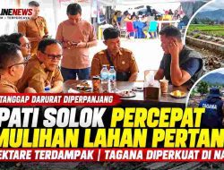 Bupati Solok Percepat Pemulihan Lahan Pertanian Terdampak Galodo, Tagana Diperkuat hingga Nagari
